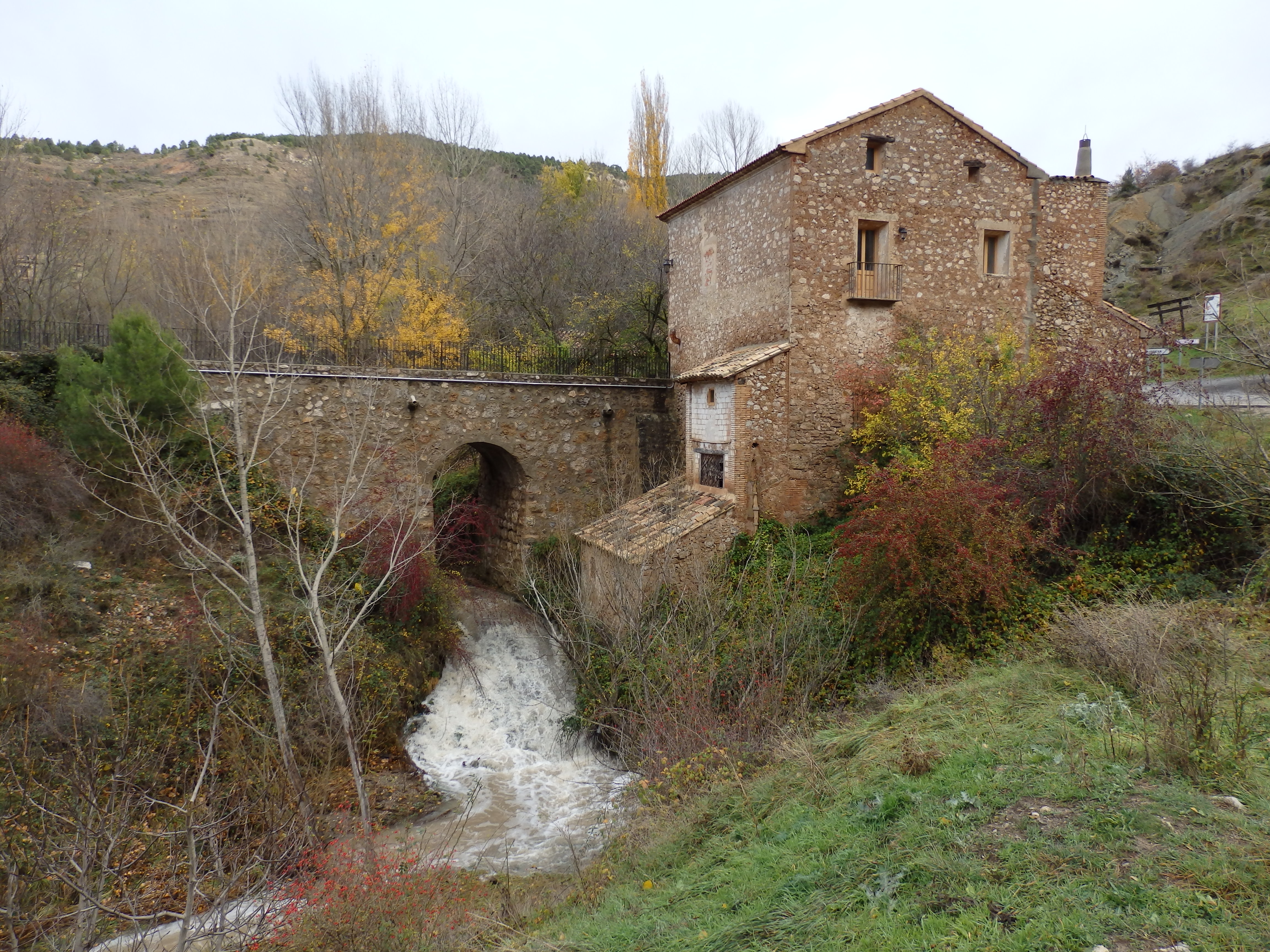 Lluvias Camarena de la Sierra