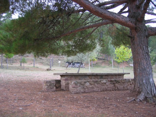 Fuente Matahombres - Camarena de la Sierra