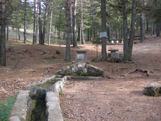 Fuente La Miel - Camarena de la Sierra