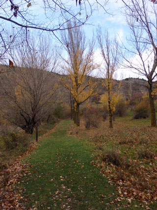 Sendero Fluvial - Camarena de la Sierra